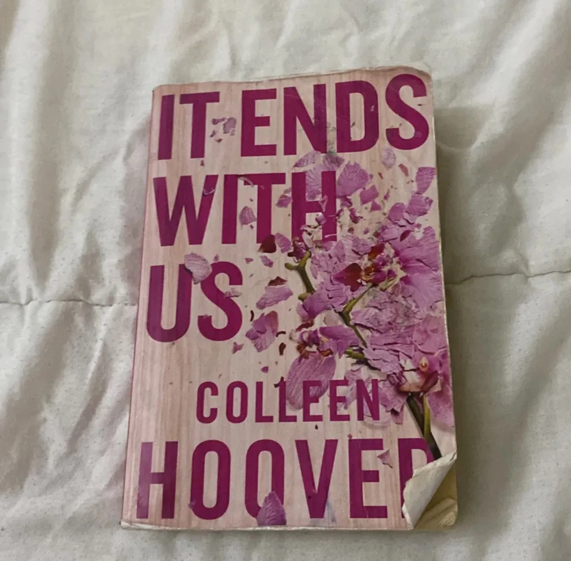 It ends with us booken