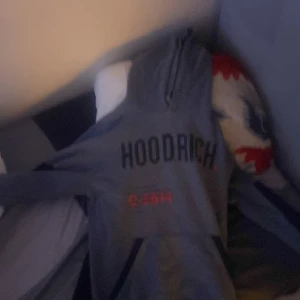 Hoodric hoddie - Den är pö brs skick 