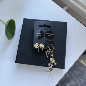 Pilgrim örhängen - Säljer detta ”2 in 1” set från pilgrim i guld, aldrig använt därav nyskick! Nypris 399kr