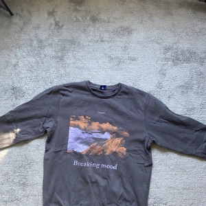 Sweatshirt! - Använd fåtal gånger, fel storlek. Nypris 500 kr