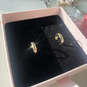 Guld örhängen  - Säljer mina jätte fina oanvända guld örhängen, inte äkta guld!! Aldrig testade