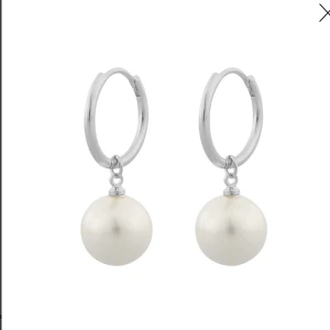 Örhängen  - Örhängen från snä of sweden, använd en gång. Görs rent innan. Frakten ingår inte 