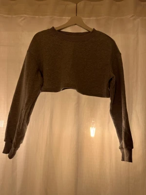 Hoodies - Två hoodies, en grå och en vit i bra skick🤍