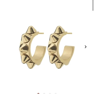 Örhängen Edblad  - säljer dessa örhängen från edblad då dem inte kommer till användning längre