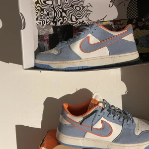 Nike SB skor - Använda ett fåtal gånger tvättas självklart innan den fraktas