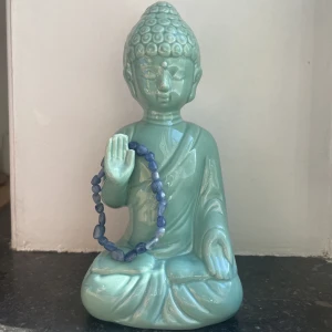 KYANITE ARMBAND - Ett otroligt fin armband köpt på kristallrummet för ett år sen. Sparsamt använd, nästan ny, inga defekter. Passar de flesta storlekar. 