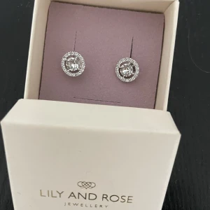 Lily and Rose örhängen  - Silvriga örhängen från Lily and rose i mässing med swarovski sten i mitten. Aldrig använda.