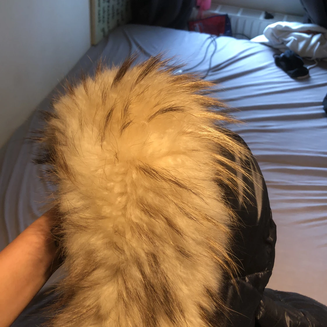 Rock and blue jacka  - 91