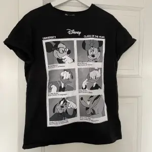 T-shirt från Zara X Disney i storlek S men passar även M. Köpt i Spanien för några år sedan. Endast använd ett fåtal gånger så i superfint skick. Kan mötas i Örebro eller skicka spårbart som köparen står för💞