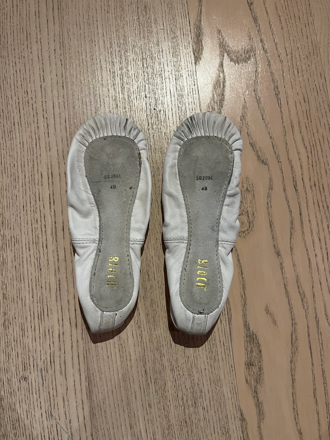 Balettskor/Teknikskor Bloch