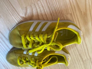 Adidas campus str 31 - Retro adidas