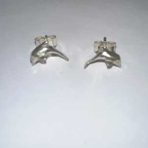 Delfin örhängen silver - Fina silver-örhängen med ett delfinmotiv