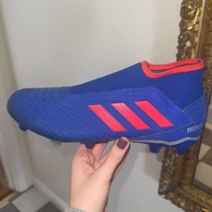 Adidas fotbollsskor  - Adidas predator fotbollsskor. Använda utomhus men insåg fort att de ej passade. Storlek 42 och har inga snören. Köpta för 2000. Skriv vid frågor!