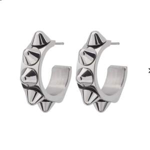 Säljer dessa örhängen från Edblad, bra skick! 💕