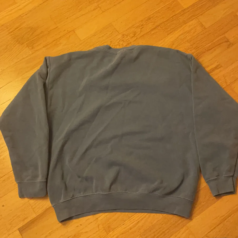 BDG sweatshirt från Urban outfiters blå i bra skick knappt använd. Tröjor & Koftor.
