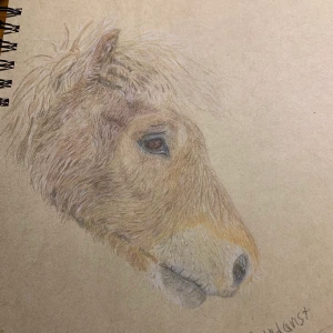 Mer exempels  - Exempel på figurer och ritningar som jag har gjort 