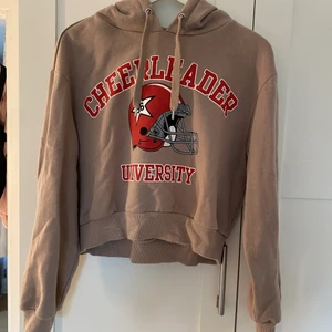 Hoddie från Hm - Säljer en jättefin hoodie som är använd ett fåtal gånger från Hm. Beige/ brun färg med ett tryck på i storlek M. Säljer för 30 kronor + frakt för ca 40
