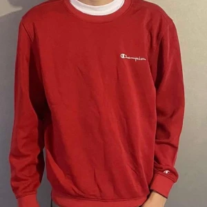 Champion Sweatshirt - En champion sweatshirt i fint skick! Storleken är S. 