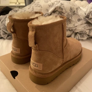 Uggs i färgen chestnut - Helt nya och oanvända mini uggs i den populära och nästan slutsålda färgen chestnut. Beställde två storlekar och glömde lämna tillbaka dessa därav säljer jag. Dessa är i storlek 37! Nypris 2000