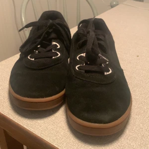 Etnies - Etnies skateskor knappt använda.