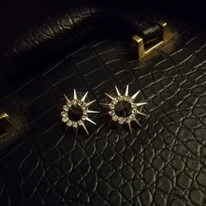 Spetsiga örhängen - Spetsiga örhängen med glitter stenar i en cirkel använda en gång pris 70kr frakt till komer 