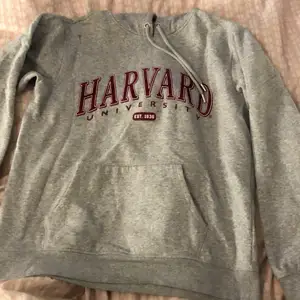 En grå hoodie/tröja hardvard från hm köpt ca förra året, vill ksk sälja om någon e intresserad, nån fläck hör o där men kan tvätta bort 