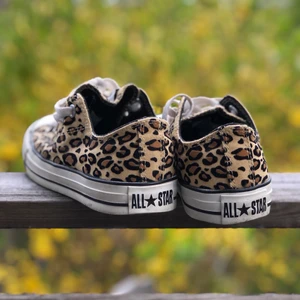 Converse  - Låga Converse med leopardprint (själva prickarna är i sammet). Knappt använda så i superfint skick. Stl eu 36,5 uk 4 us 6.