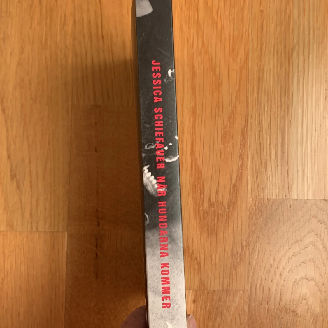 När hundarna kommer  - 91