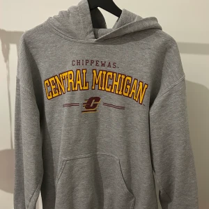 Vintage hoodie  - Vintage hoodie med riktigt snyggt tryck i storlek M men sitter som S. 