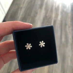Örhängen med snöflingor - Säljer nu mina fina örhängen från Jokkmokks Tenn i äkta silver med snöflingor. Superfint skick och är jättefina på. Säljer pga dom inte kommer till använding. Köpta för 400 kr och du får dom för 200kr+ frakt 