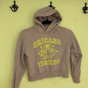 Lila tröja (kort variant) - Fin lila huvtröja i kortare modell. Väldigt fint skick,  Köparen står för frakten. Jag visar bild när jag skickar paketet. Vid fler intressen av kläderna kan bud läggas