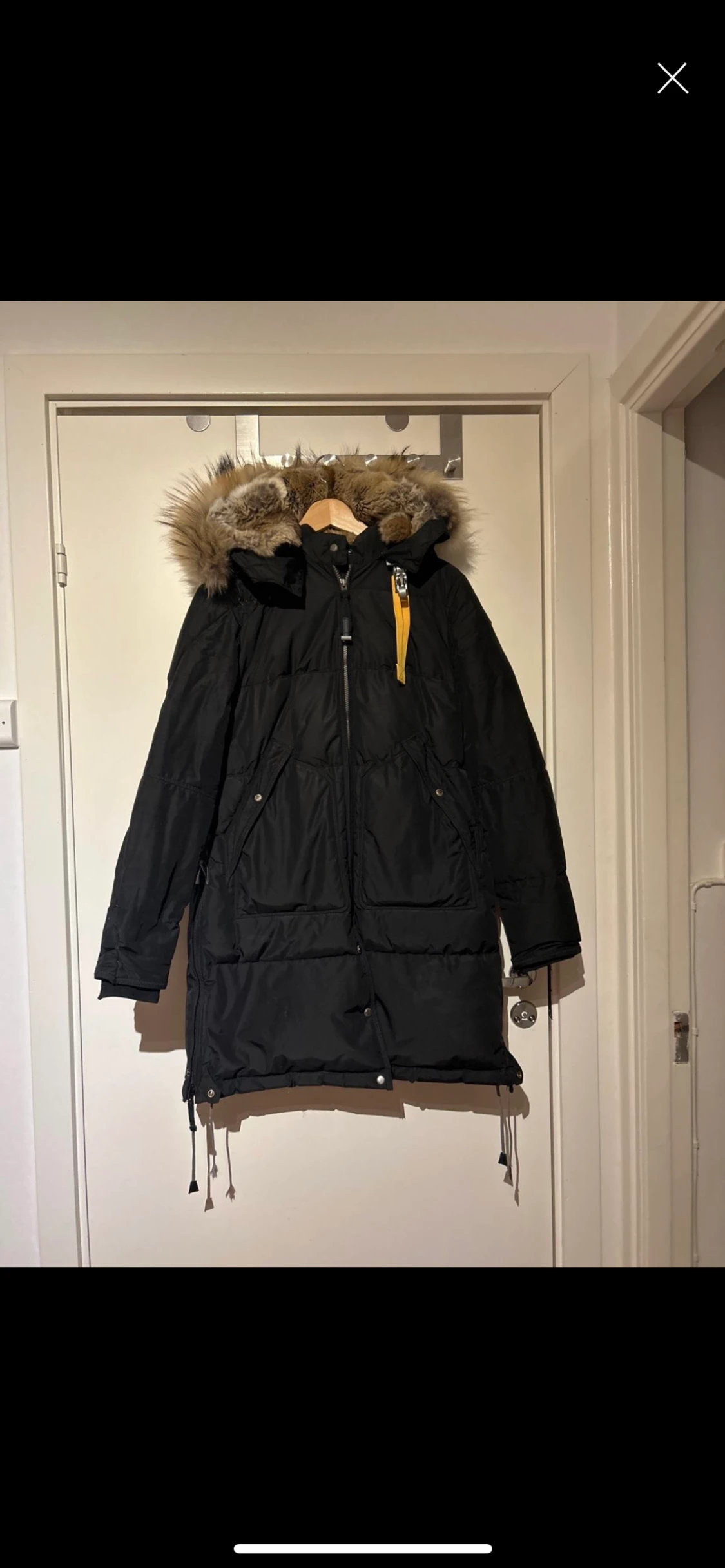 Parajumperjacka long bear