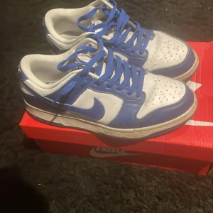 Nike dunk Kentucky  - Skorna är i ett använt skick, de är creasade och använda 