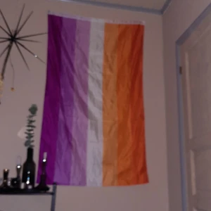 Lesbian pride flagg - Den är inte lika lila i verkligheten.  Flaggan har bara hängt på väggen, jag har aldrig got i en parad med den. Den är i gott skick:)💜💗🤍🧡❤  originalpriset = 165kr. Jag kan ta i kontant eller swish:)  Om du har några frågor så är det bara att skriva. <3
