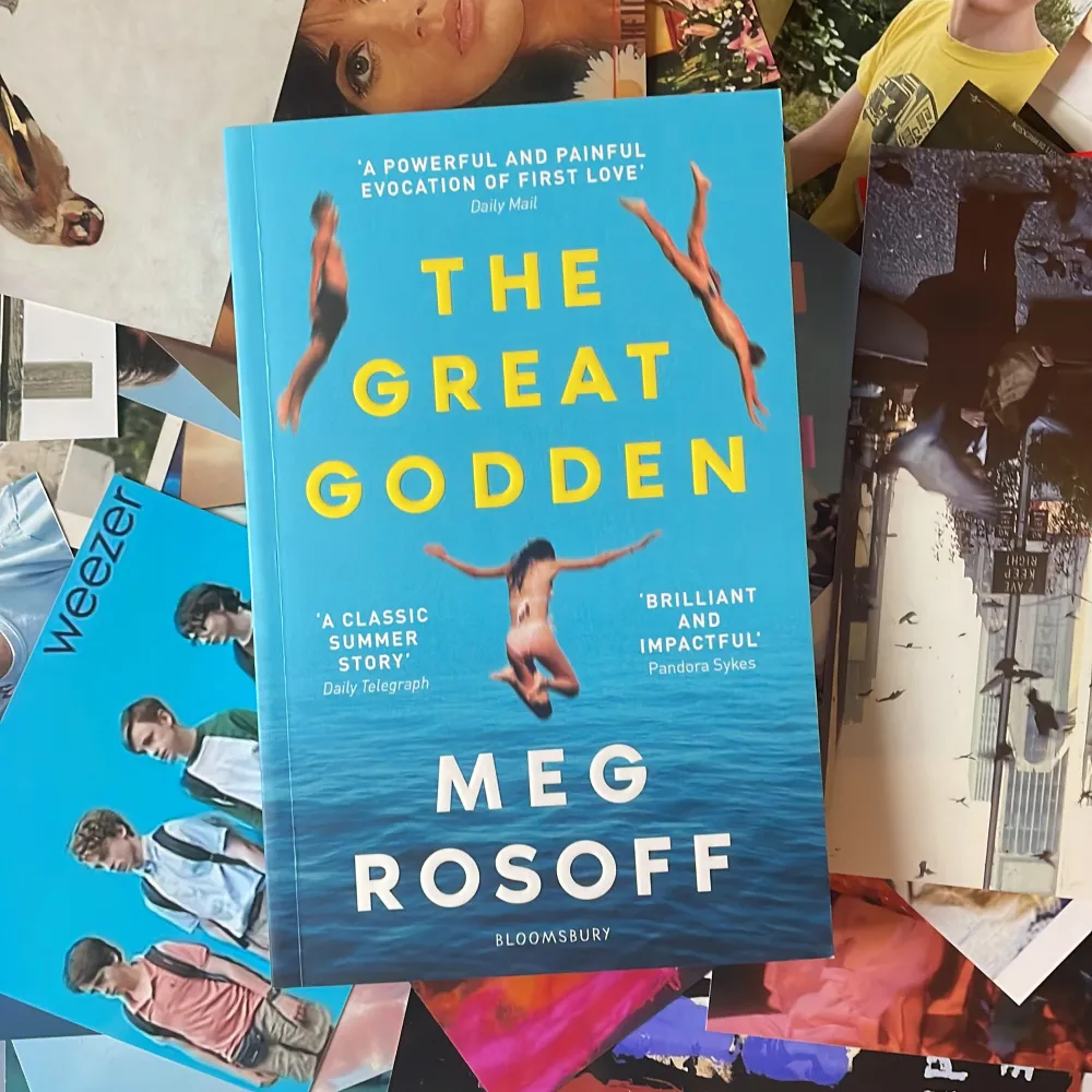 The great godden- Meg rosoff  Säljer nu denna bok som vart populär på ”booktok”. Är i nyskick och hoppas den kan få en ny ägare:). Övrigt.