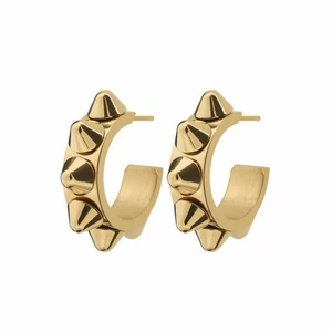 Super Trendiga Edblad Örhängen! - Jag säljer dessa super fina guldiga örhängen eftersom jag inte fick andvänding av dem. Jag köpte dem för en månad sedan och inte använt så många gånger. Jag byter även mot dem silvriga❤️