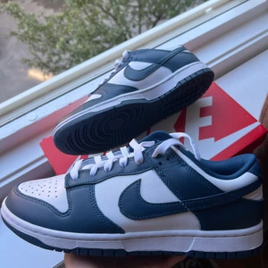 Nike Dunk Low Retro ”Valerian Blue” - Nike Dunk Low Retro ”Valerian Blue” storlek: 42 Helt nya och oanvända. Finns i Göteborg/frakt  Kvitto o refs finns. 