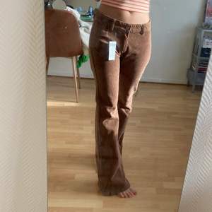 Oanvända Brandy Melville byxor, bruna manchester/corduroy. Lågmidjade, vida. I modell Aliyah. Passar antagligen någon som är 1.65 eller längre, de är lite för stora i min midja och lite för långa (jag är 1.58). 