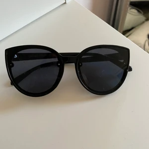 Solglasögon  - Inga repor 