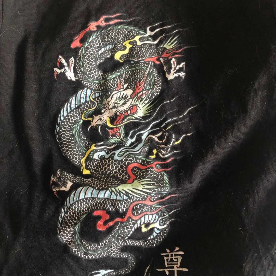 Långärmad med draktryck - 90