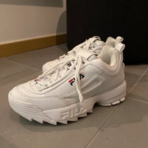 Fila skor  - Endast använda 2 gånger så är i fint skick. 