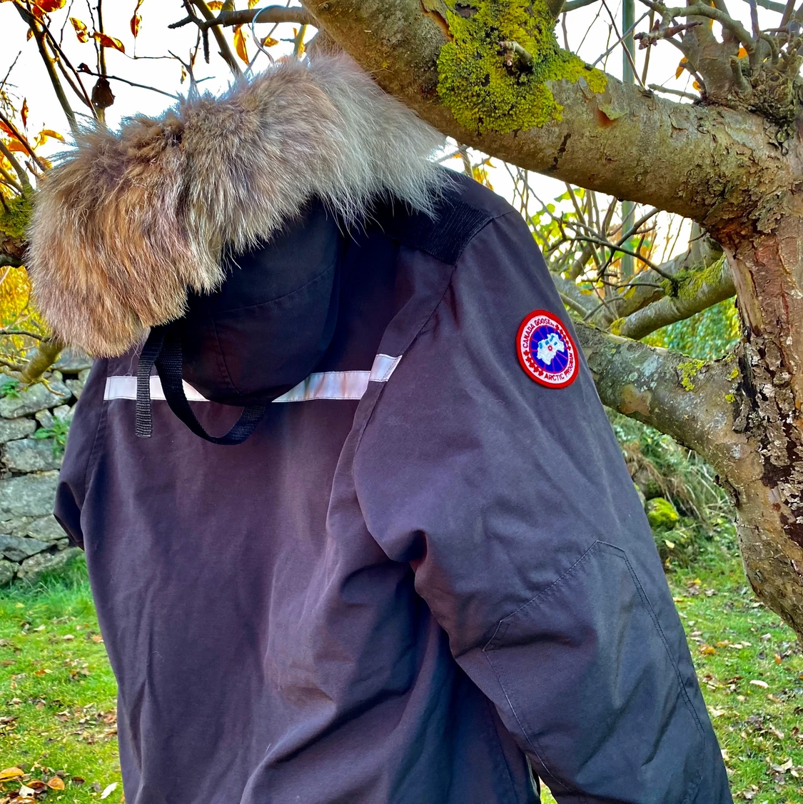 Canada Goose - 91