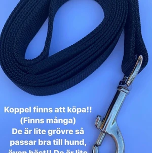 Koppel - Har 72st helt nya koppel som funkar till både kanin, katt, hund och till och med häst! Piset för en är 15kr + 24kr frakt med , vid köp av två eller fler blir priset 10kr/st och då får jag räkna ut frakten efter hur många som önskas! Mer info? Skriv här eller insta dm @emilias_selar_