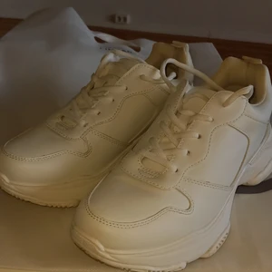 Skor från dinsko storlek 40. - Har använt den bara en gång.