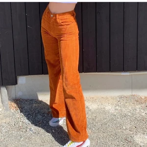Slutsålda Manchesterbyxor! - Säljer ett par unika ribcage wideleg byxor i Manchester i en härlig rostig färg från Levis! 🤩  (Se andra bilden för bäst beskrivning av färgen) storlek: W23L32, skulle säga att de passar en XS. De är helt slutsålda överallt! Originalpris: 1250 kr.  Köpte dem här på Plick men säljer eftersom de tyvärr var lite för små för mig, väldigt synd då jag verkligen had velat ha kvar dem🥺 (de första två bilderna är lånade med tillstånd av den förra säljaren) Tveka inte om att fråga!💓