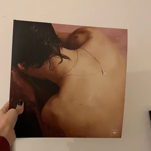 harry styles vinylskiva - Harry styles första album, vinylskiva, aldrig använd så i toppen skick!! (sista bilden är lånad då jag inte vågar öppna den, men det är exakt samma innehåll💕)