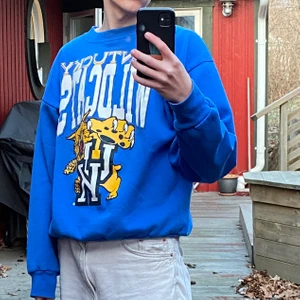 Vintage Sweatshirt i bra skick! - Extremt snygg Vintage Sweatshirt                                                     -Mycket bra skick inga fläckar eller hål!                                                            -Buda ifrån 250kr höj med 25kr                                                   -Nuvarande är 375kr
