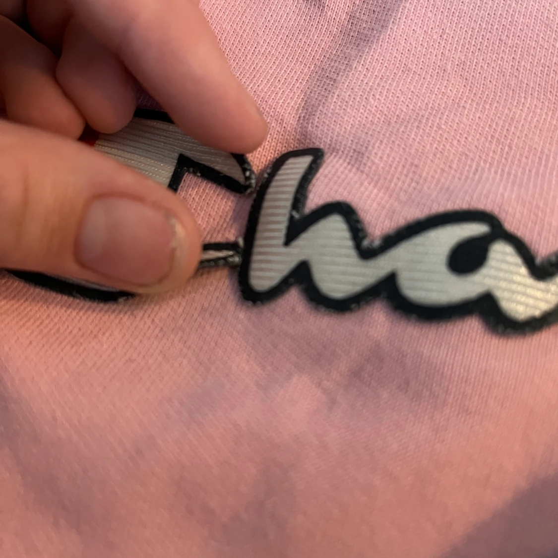 Champion Hoodies - 91