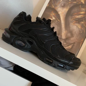 Nike air Max plus - Säljer nu mina skor dom är köpta från footlocker förra året för 1899kr och bara använda några gånger när ja hade köpt dom så knappt använd ”som nya” säljer för de både är lite för stora och inte riktigt min stil längre tyvärr. Skorna är både för killar och tjejer😊 hör av er för frågor osv svarar alltid!