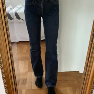 Snygga raka Lee jeans. Dessa har storlek 27-32 (Jag är 168) och har bra kvalité, men är tyvärr för små för mig. Säljer för 150kr⭐️
